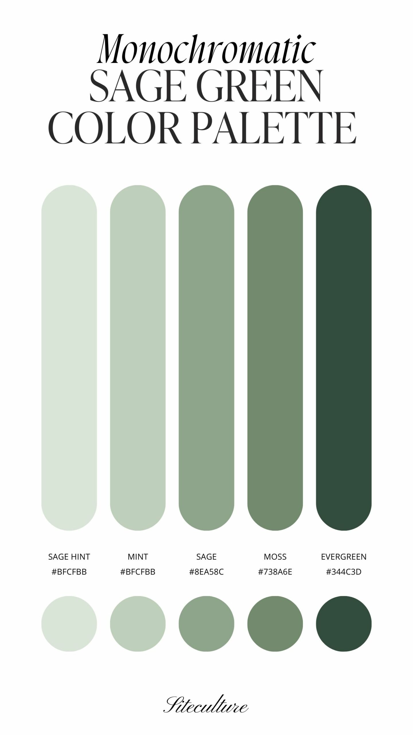 monochrome sage green color palette