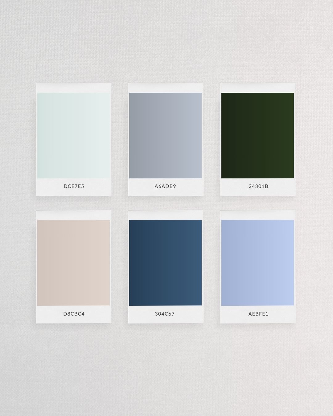 Blue-grey and soft neutral color swatches featuring hex codes: DCE7E5, A6ADB9, 24301B, D8CBC4, 304C67, AEBFE1, perfect for modern, sophisticated design projects.